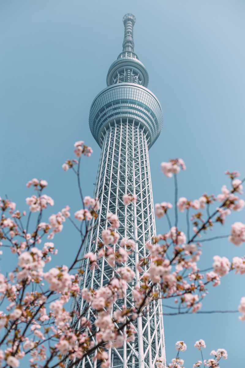 tokyoskytree